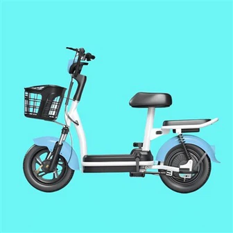 Travel Electric Bicycle